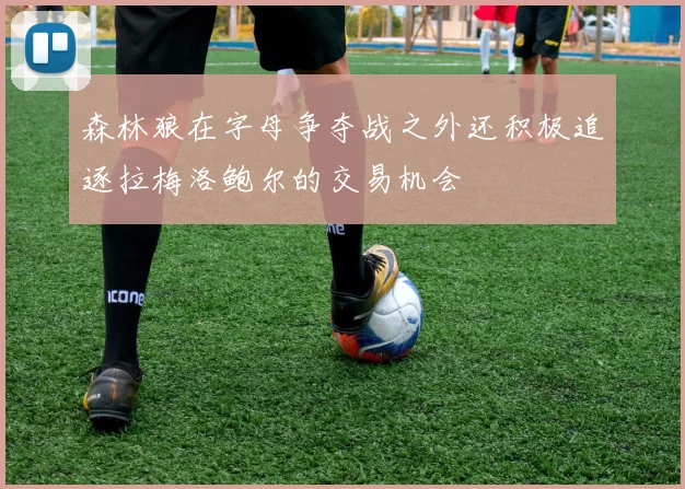 森林狼在字母争夺战之外还积极追逐拉梅洛鲍尔的交易机会